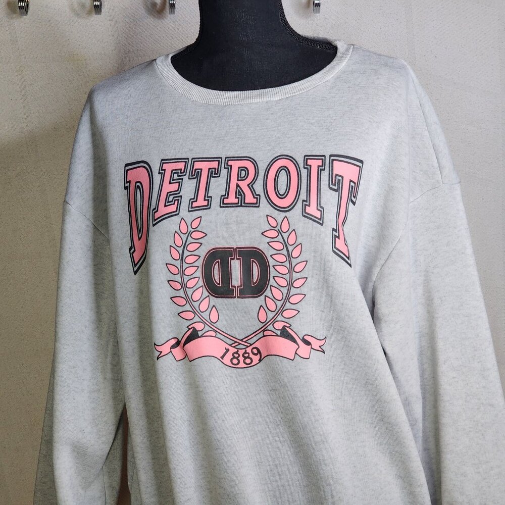 Shein Grey Crewneck with Pink Detroit Graphic Long Sleeve Poly Sweatshirt Sz S - Picture 3 of 16